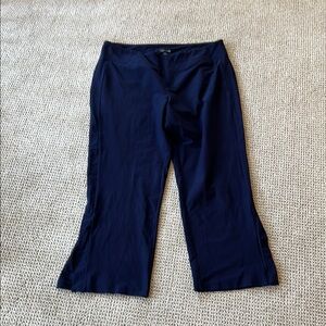 Eileen Fisher Blue Flared Pants with Ankle Slits